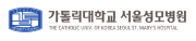 가톨릭대학교 서울성모병원.PNG